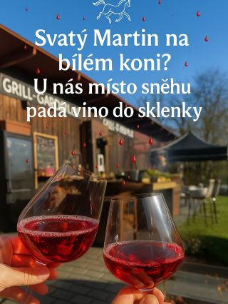 🔥 𝐒𝐕𝐀𝐓𝐘́ 𝐌𝐀𝐑𝐓𝐈𝐍 𝐏𝐎 𝐍𝐀𝐒̌𝐄𝐌 🍷 U nás místo sněhu padá víno do sklenky, kačka už sedí a hřeje se, a oheň dává chuti nový...